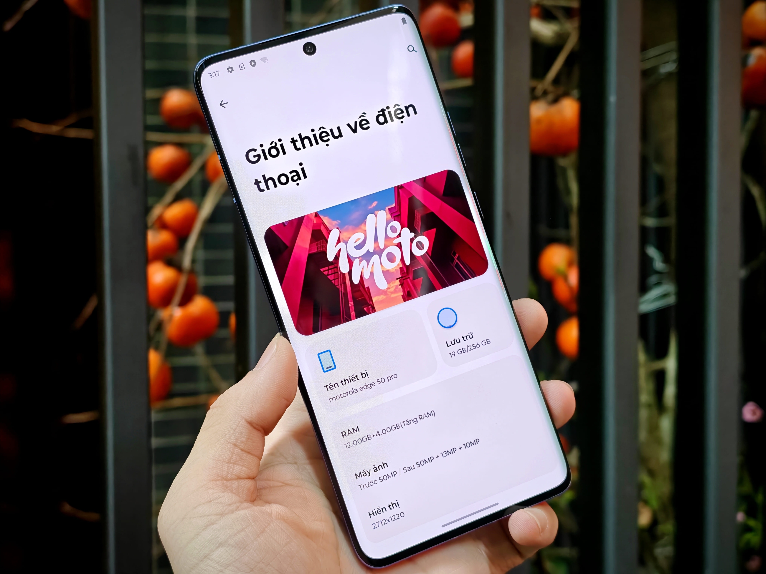 IMG_20260108_094950_1767841145096edit(1)