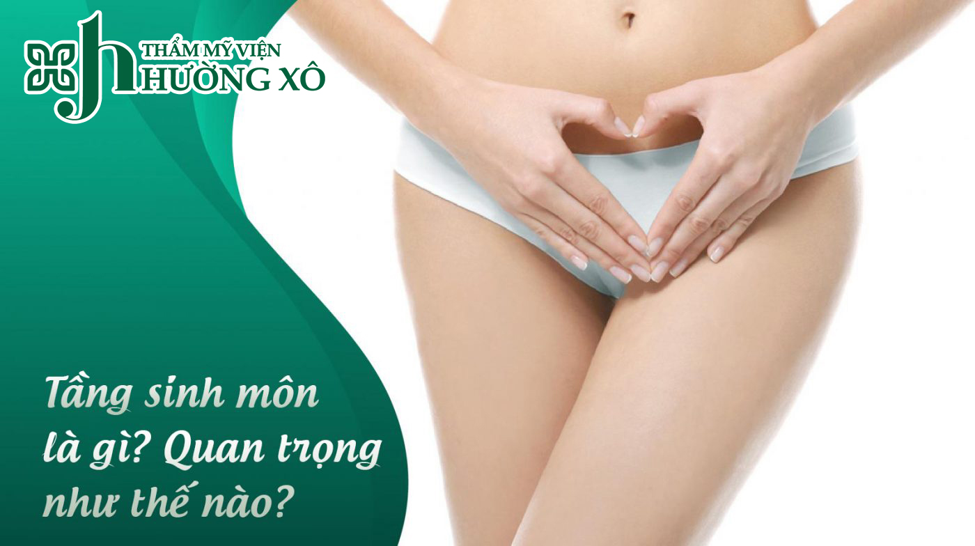 Tái tạo tầng sinh môn