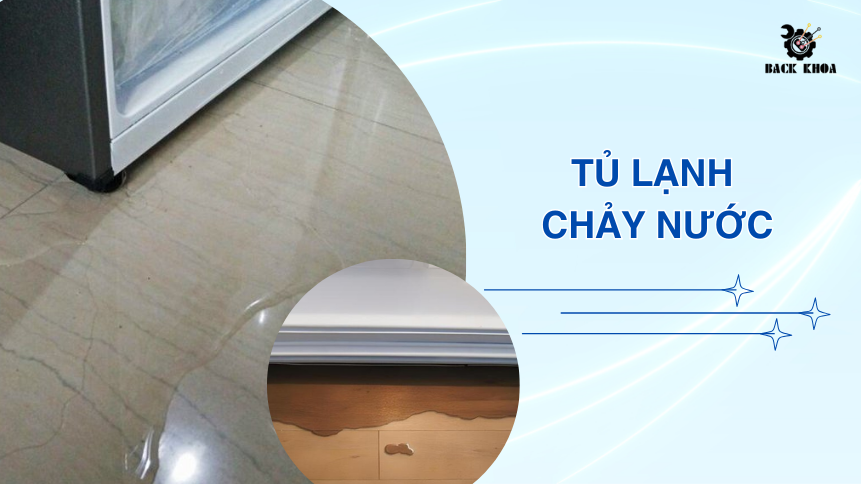Một vài nhận biết bạn không nên bỏ qua