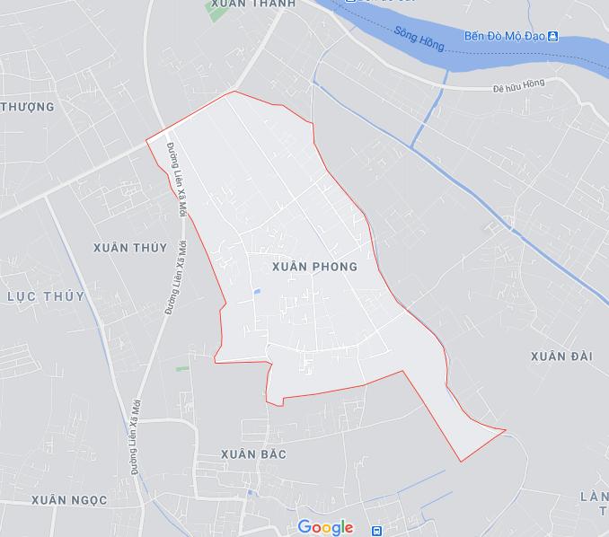 Xuân Phong, Xuân Trường, Nam Định 