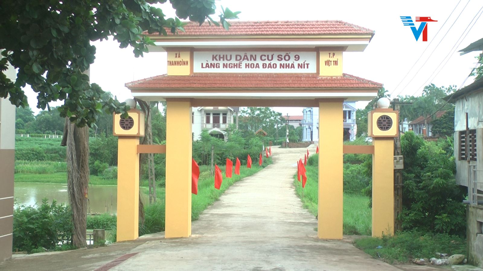 thanh dinh viet tri