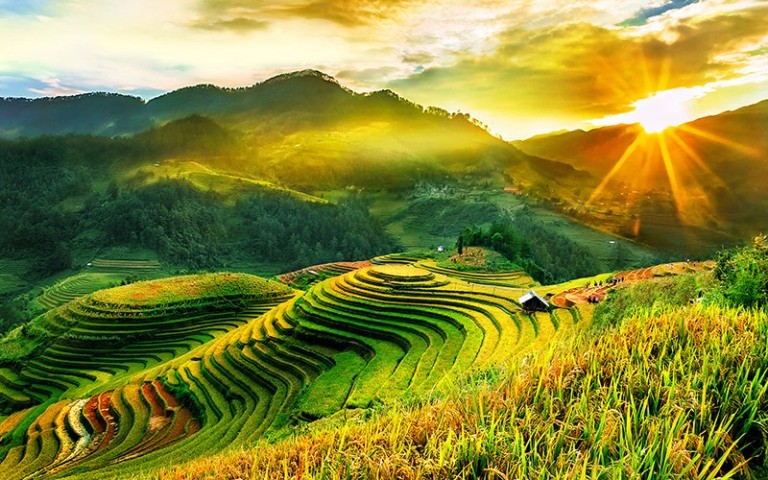 Liên hoàn cầu trượt ngoài trời
