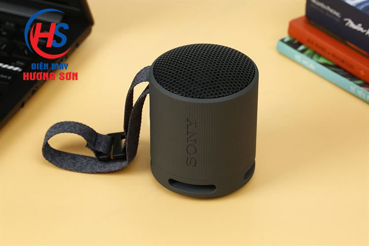 Loa Sony