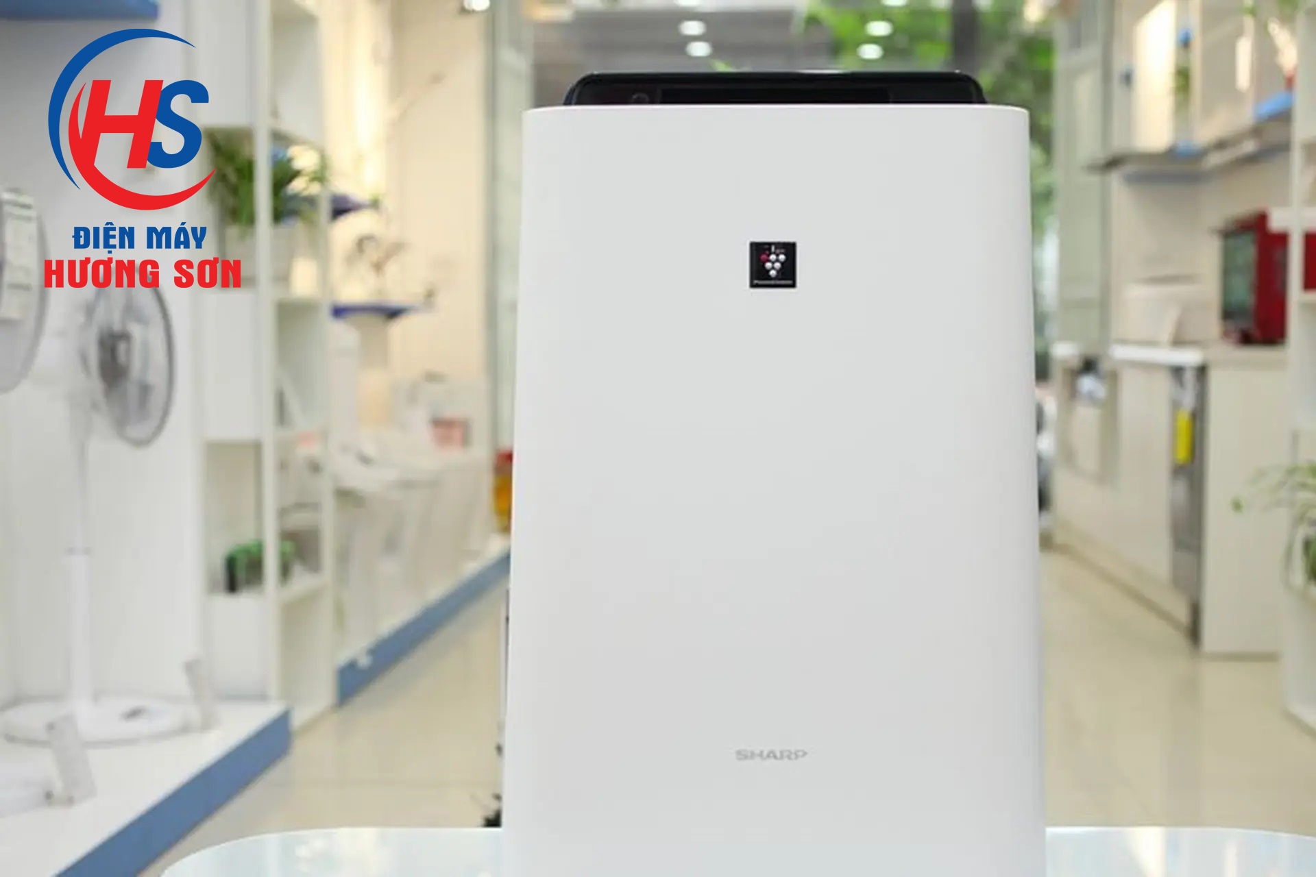 Máy lọc không khí Sharp