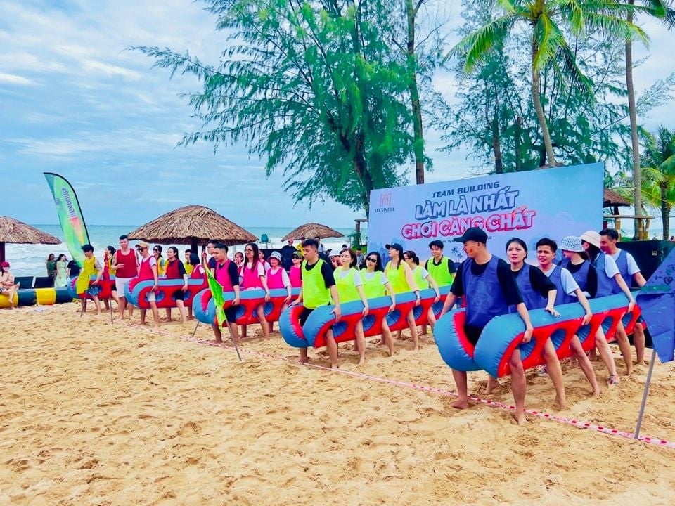 Tổ chức team building