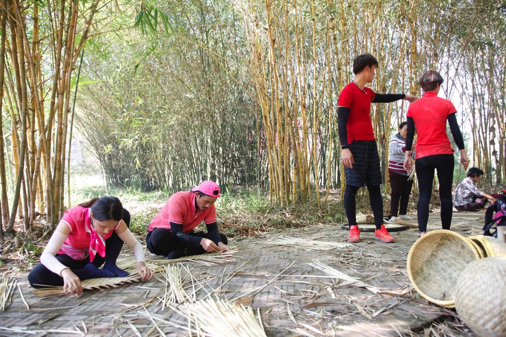 Tổ chức cuộc đua kỳ thú