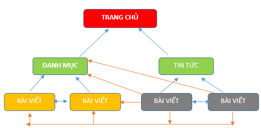 Mô hình và cấu trúc website