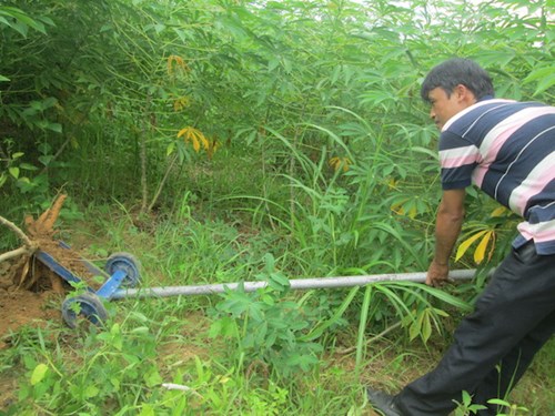 Mr. Dong experiment to spit cassava
