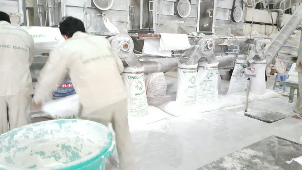 Tinh bột sắn