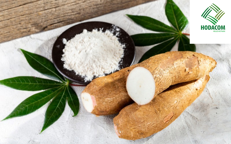 Tinh bột sắn