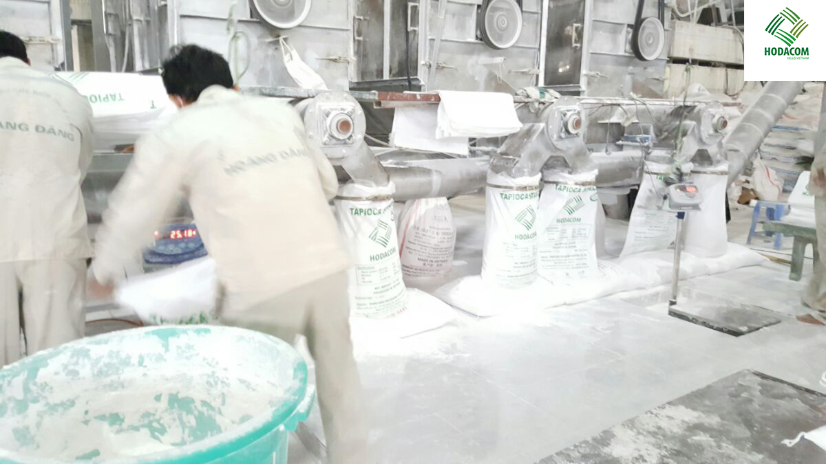 Tinh bột sắn