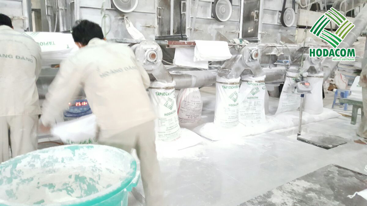 Tinh bột sắn