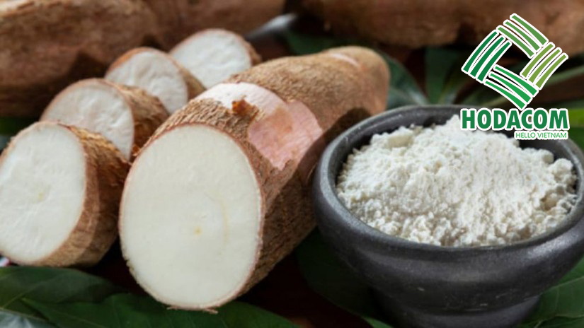Tinh bột sắn